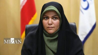 رئیس فراکسیون زنان مجلس: مصوبه جدید درباره سقف کیفری مهریه هیچ محدودیتی برای حقوق زنان ایجاد نمیکند