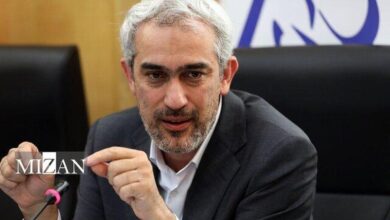 مدنی‌زاده: بالا بردن ضریب نفوذ و سلامت نظام بیمه اولویت وزارت اقتصاد است