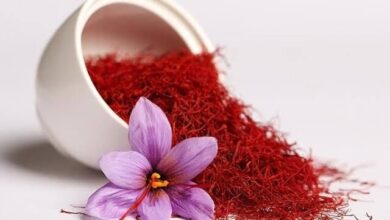 موارد تقلب در پودر و عصاره‌های زعفران افزایش یافته است