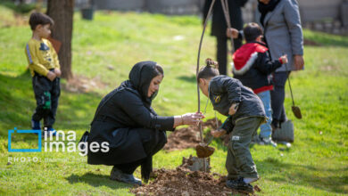 پویش درختکاری «در سایه مادر» در ۹ شهرستان خراسان جنوبی اجرا می‌شود
