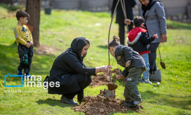 پویش درختکاری «در سایه مادر» در ۹ شهرستان خراسان جنوبی اجرا می‌شود