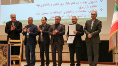 کنفرانس بین‌المللی شبکه‌های هوشمند انرژی در شیراز آغاز شد/ ارائه ۱۶۴ مقاله های علمی